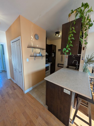 Kitchen - 302-5701 Rue De Normanville, Montréal (Rosemont/La Petite-Patrie), QC - Indoor