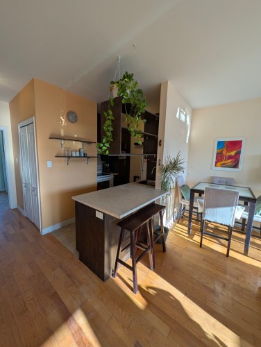 Overall view - 302-5701 Rue De Normanville, Montréal (Rosemont/La Petite-Patrie), QC - Indoor