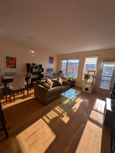 Overall view - 302-5701 Rue De Normanville, Montréal (Rosemont/La Petite-Patrie), QC - Indoor Photo Showing Living Room