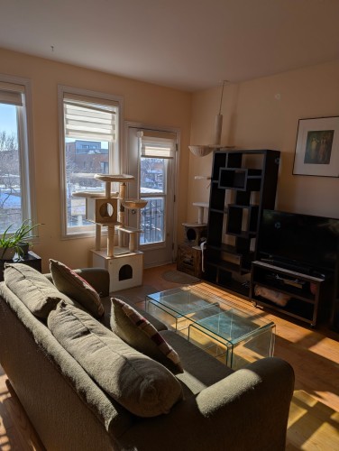 Living Room - 302-5701 Rue De Normanville, Montréal (Rosemont/La Petite-Patrie), QC - Indoor Photo Showing Living Room