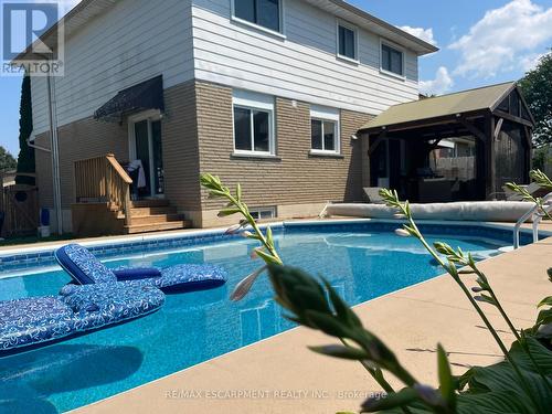 31 Maynard Street, Hamilton, ON - Outdoor With In Ground Pool