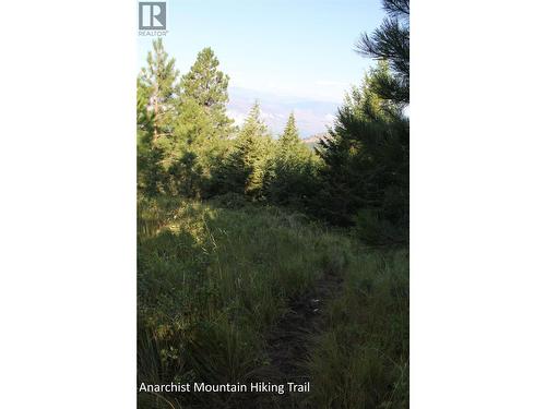 220 Sasquatch Trail, Osoyoos, BC - 