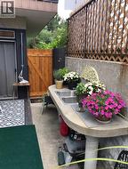 Backyard - 