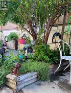 Backyard - 