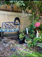 Backyard - 
