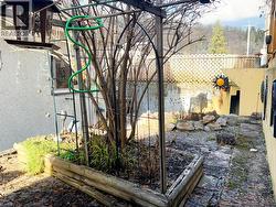 Backyard - 