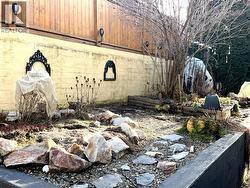 Backyard - 