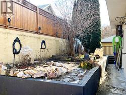 Backyard - 