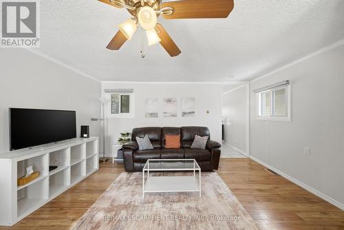 14 Newlands Avenue, Hamilton, ON - Indoor Photo Showing Living Room