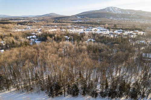 Terre/Terrain - 80 Rue De Sheffington, Bromont, QC 