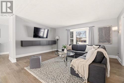 41 John Martin Crescent, Hamilton, ON - Indoor Photo Showing Living Room