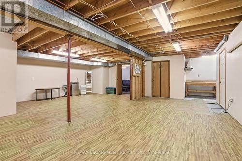 41 John Martin Crescent, Hamilton, ON - Indoor Photo Showing Basement