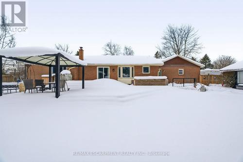 41 John Martin Crescent, Hamilton, ON - Outdoor