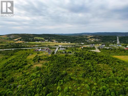 31A Connolly'S Hill, Carbonear, NL 