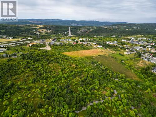 31A Connolly'S Hill, Carbonear, NL 