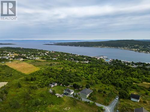 31A Connolly'S Hill, Carbonear, NL 