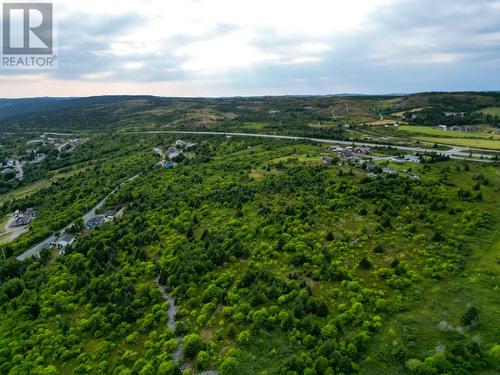 31A Connolly'S Hill, Carbonear, NL 