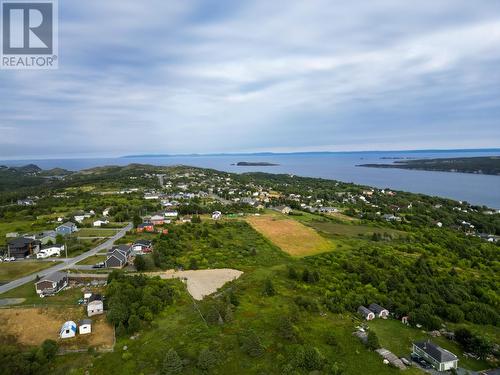 31A Connolly'S Hill, Carbonear, NL 