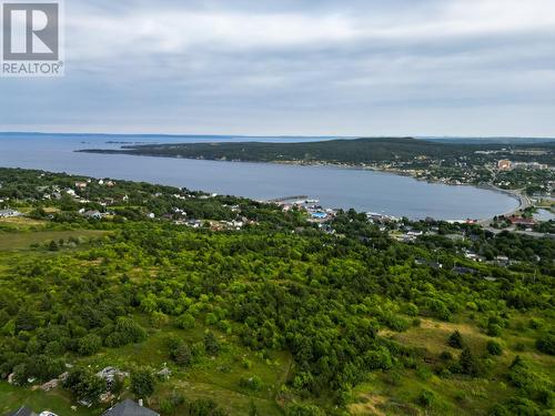 31A Connolly'S Hill, Carbonear, NL 