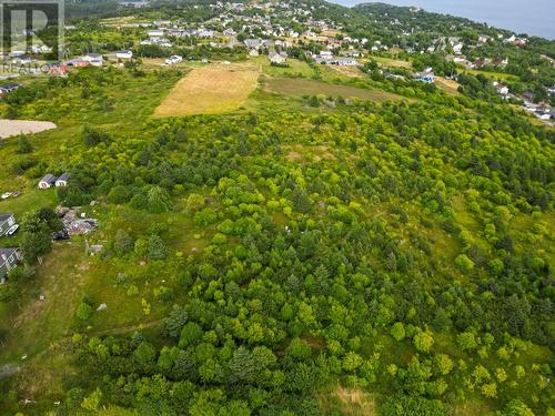 45B English Hill, Carbonear, NL 