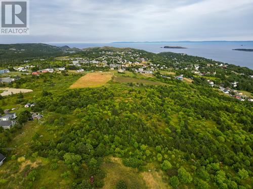 45B English Hill, Carbonear, NL 