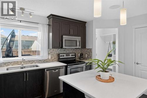 61 Auburn Meadows View Se, Calgary, AB - Indoor Photo Showing Kitchen With Stainless Steel Kitchen With Double Sink