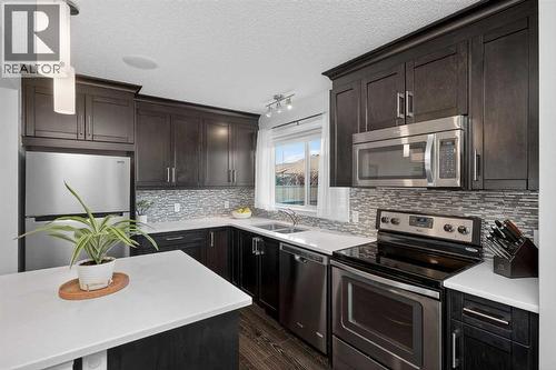 61 Auburn Meadows View Se, Calgary, AB - Indoor Photo Showing Kitchen With Stainless Steel Kitchen With Double Sink With Upgraded Kitchen