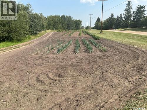 24 Railway Avenue, Meota Rm No.468, SK - Outdoor With View