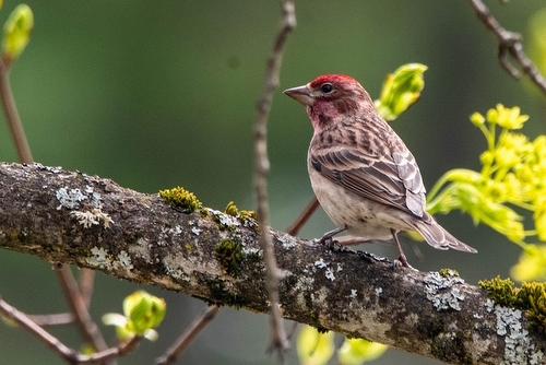 1270 Fox Tree Road, Lister, BC - Outdoor With Body Of Water