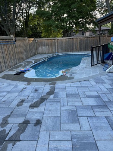 3 Freeman Road, Markham, ON - Outdoor With In Ground Pool With Backyard