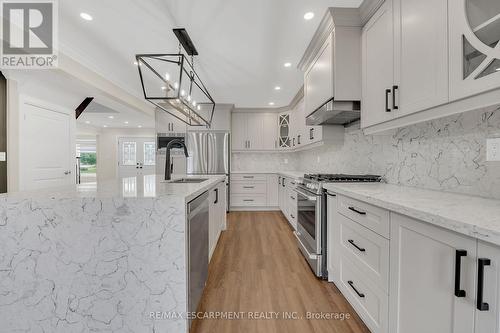 125 Valera Drive, Hamilton, ON - Indoor Photo Showing Kitchen With Upgraded Kitchen