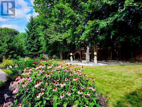 215 Black Maple Court, Kitchener, ON - Outdoor