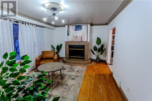 629 Danforth Avenue, Sudbury, ON - Indoor With Fireplace