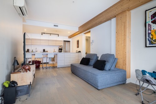 Overall view - 605-350 Rue Eleanor, Montréal (Le Sud-Ouest), QC - Indoor