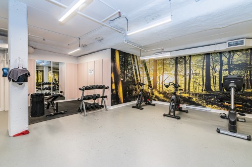 Exercise Room - 605-350 Rue Eleanor, Montréal (Le Sud-Ouest), QC - Indoor Photo Showing Gym Room