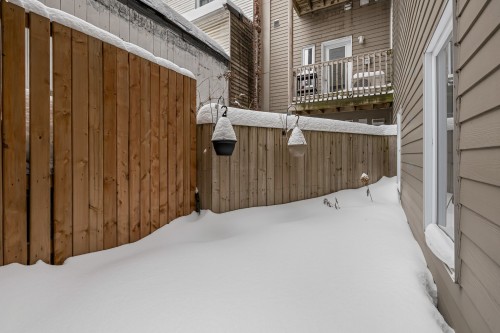 Cour - 104-1208 Rue Du Fort, Montréal (Ville-Marie), QC - Outdoor With Exterior