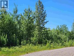 LOT 6 PAMELA ROAD  Prince George, BC V2N 6G4