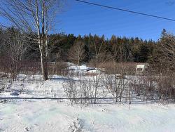 7395 Highway 217  Lake Midway, NS B0V 1A0