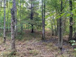 19 TURTLE LANE  Mckellar, ON P0G 1C0