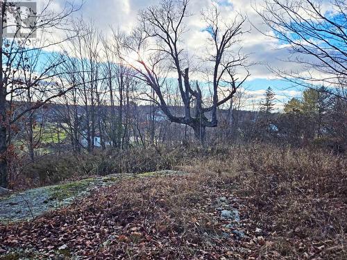 19 Turtle Lane, Mckellar, ON 