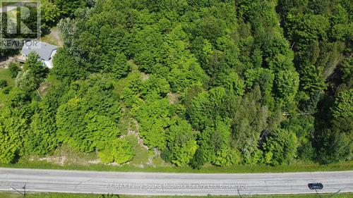 19 Turtle Lane, Mckellar, ON 