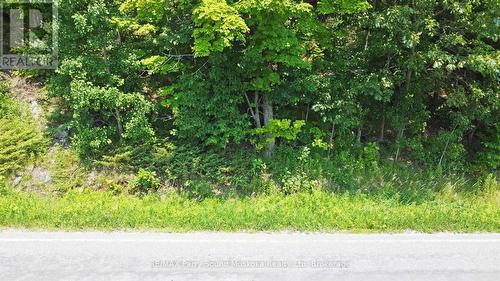 19 Turtle Lane, Mckellar, ON 