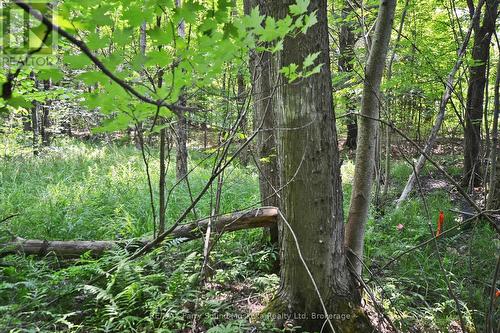 19 Turtle Lane, Mckellar, ON 