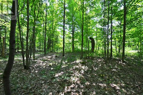 19 Turtle Lane, Parry Sound, ON 
