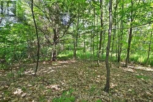 19 Turtle Lane, Parry Sound, ON 