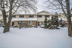 View from the backyard - 