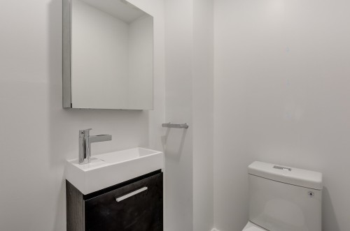 Powder room - 4230 Rue St-Denis, Montréal (Le Plateau-Mont-Royal), QC - Indoor Photo Showing Bathroom