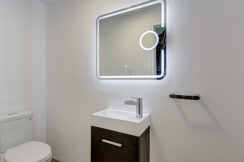 Powder room - 4230 Rue St-Denis, Montréal (Le Plateau-Mont-Royal), QC - Indoor Photo Showing Bathroom