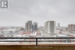 Winter Views On Grey Days - 