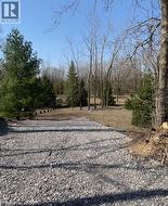 465 CONCESSION 5 TOWNSEND Road  Waterford, ON N0E 1Y0